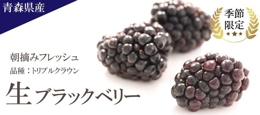冷蔵）青森県産ブラックベリー【生果実】（トリプルクラウン