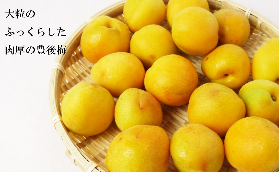 青森の梅(豊後梅 ぶんごうめ)色梅(完熟梅)