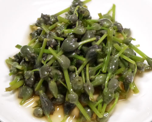 冷蔵）青森天然山菜みずの実（ミズのこぶ・ミズのこ・ミズムカゴ