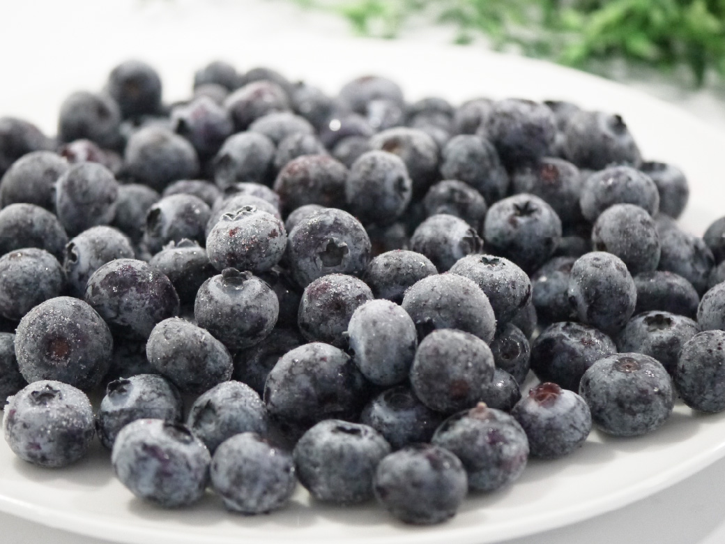国産冷凍ブルーベリー 青森県産ブルーベリー