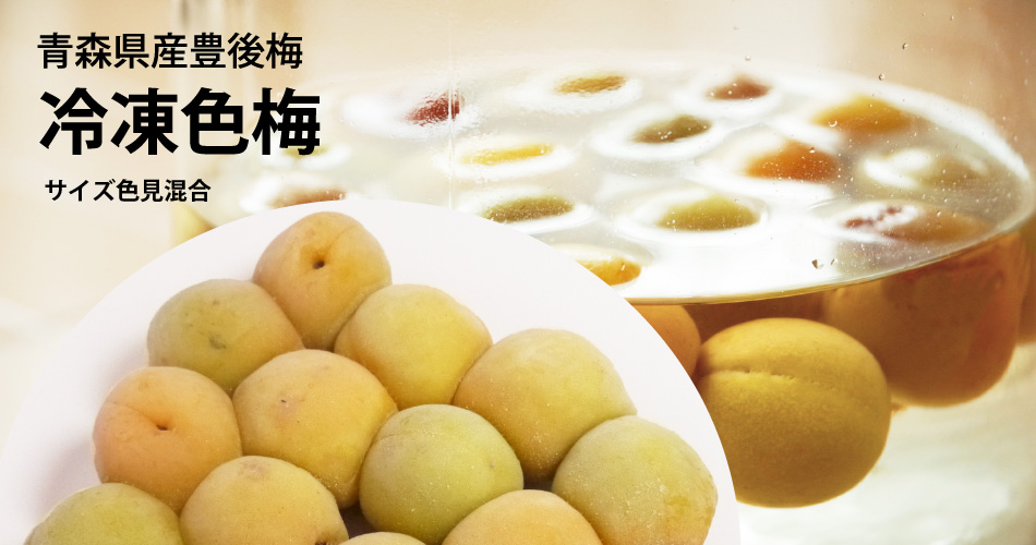 青森県産豊後梅（ぶんごうめ）を収穫後そのまま冷凍しました