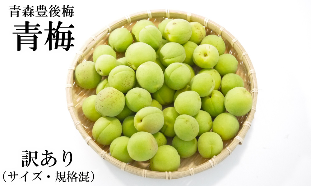 青森の梅（豊後梅　ぶんごうめ）青梅　生ウメ通販