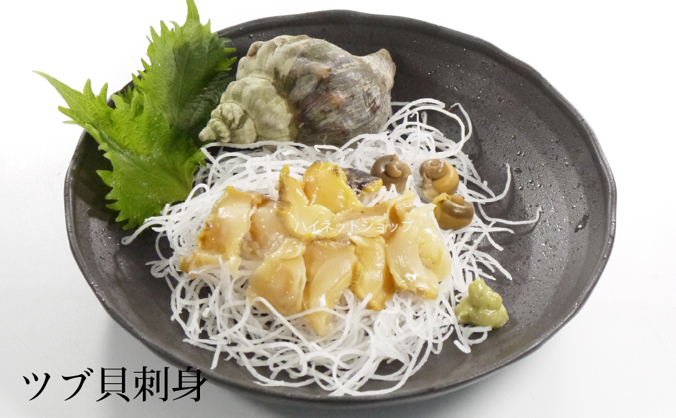 ツブ貝さばき方 ツブ貝レシピ 青ツブ 生つぶ貝 ツブ刺身 煮ツブ