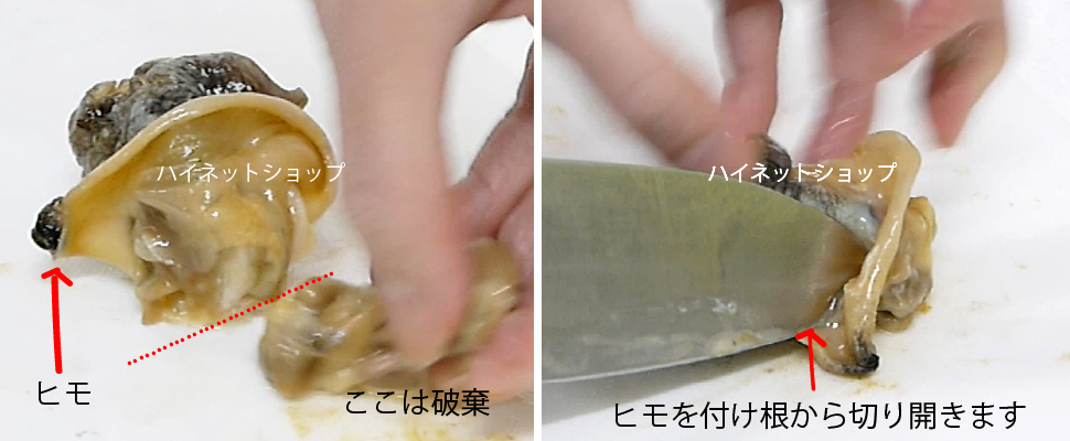 ツブ貝さばき方 ツブ貝レシピ 青ツブ 生つぶ貝 ツブ刺身 煮ツブ