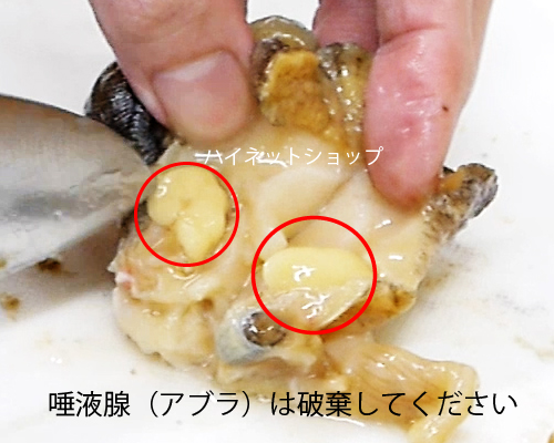 ツブ貝さばき方 ツブ貝レシピ 青ツブ 生つぶ貝 ツブ刺身 煮ツブ