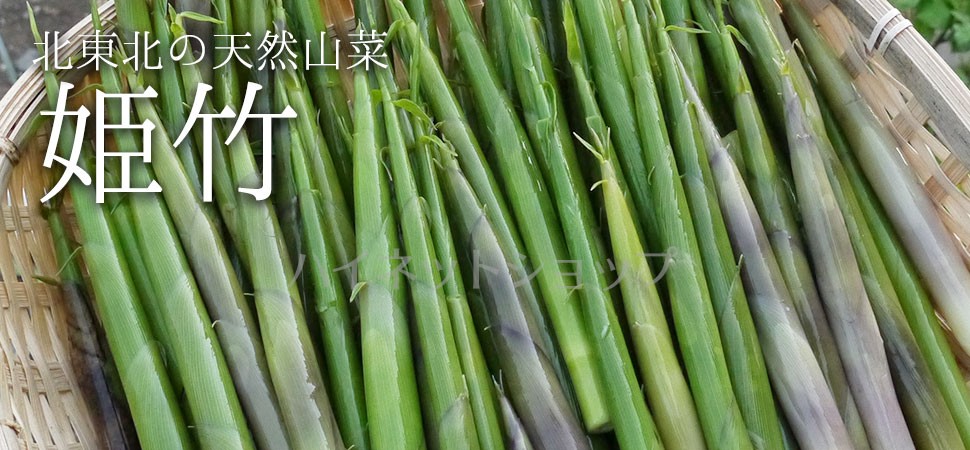 [チャッピー出品] [天然] 姫竹(ネマガリタケ) 姫竹 （ ネマガリダケ ） 販売・通販 【 天然きのこ山菜.com 】