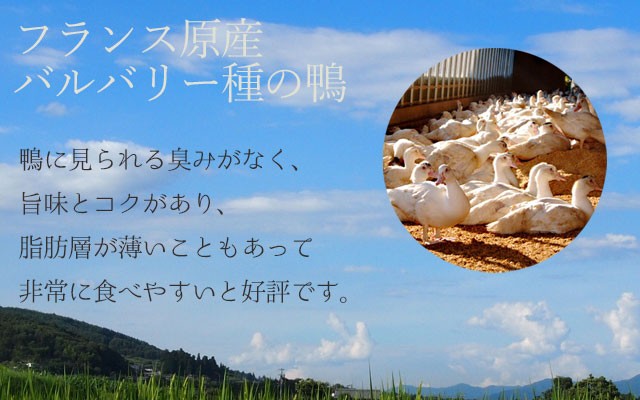 青森県産鴨(バルバリー種)を使用した鴨なべセット