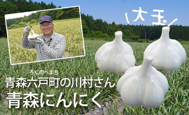 青森にんにくB品2Lサイズ約1kg [川村さん]【送料無料※一部地域を除く】※11月上旬から発送開始予定  :kawa-nin-b2l01:ハイネットショップヤフー店 - 通販 - Yahoo!ショッピング