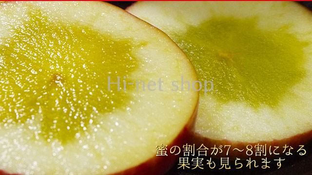 青森県産 樹上完熟蜜入りりんご「こうとく（高徳）」贈答用小玉りんご