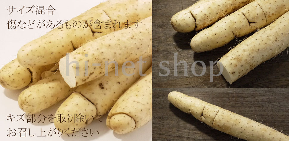 青森六戸町産の長芋(長いも ながいも)