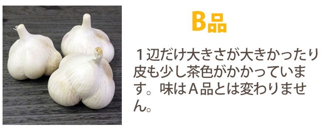 青森にんにくB品2Lサイズ約1kg [川村さん]【送料無料※一部地域を除く】※11月上旬から発送開始予定  :kawa-nin-b2l01:ハイネットショップヤフー店 - 通販 - Yahoo!ショッピング