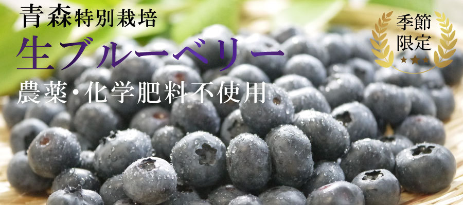 無農薬ブルーベリー果実　青森県