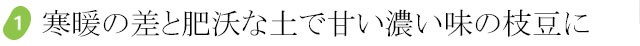 安心・安全の国産冷凍枝豆は濃い旨味が特徴です