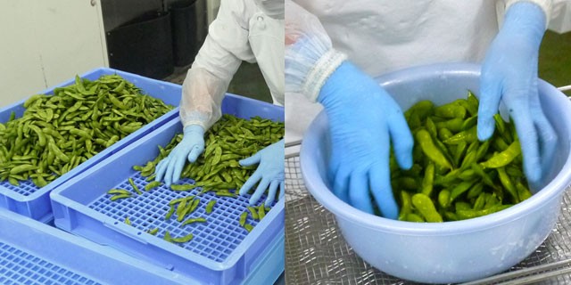 安心・安全の国産冷凍枝豆は濃い旨味が特徴です