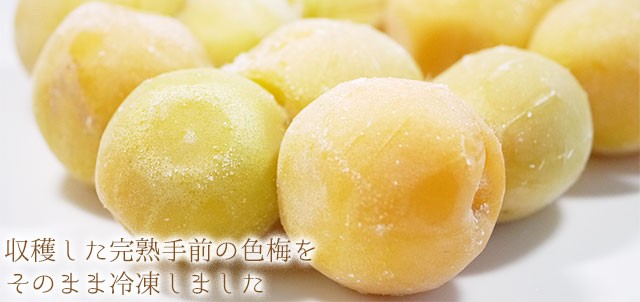 冷凍）青森県産冷凍色梅約1kg（家庭用2L〜4Lサイズ混合）【送料無料※一部地域を除く】※2022年物です  :rtume-iro1:ハイネットショップヤフー店 - 通販 - Yahoo!ショッピング