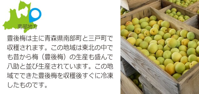 冷凍）青森県産冷凍青梅約2kg（家庭用2L〜4Lサイズ混合）【送料無料※一部地域を除く】※2022年物  :rtume-ao2:ハイネットショップヤフー店 - 通販 - Yahoo!ショッピング