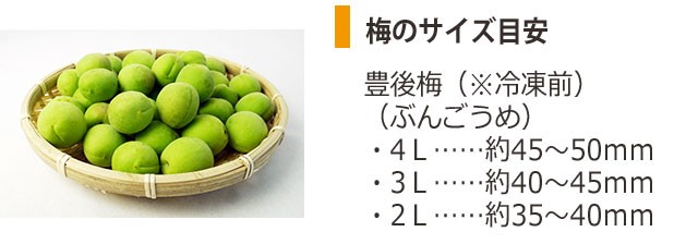 冷凍）青森県産冷凍色梅約3kg（家庭用2L〜4Lサイズ混合）【送料無料※一部地域を除く】※2022年物です  :rtume-iro3:ハイネットショップヤフー店 - 通販 - Yahoo!ショッピング