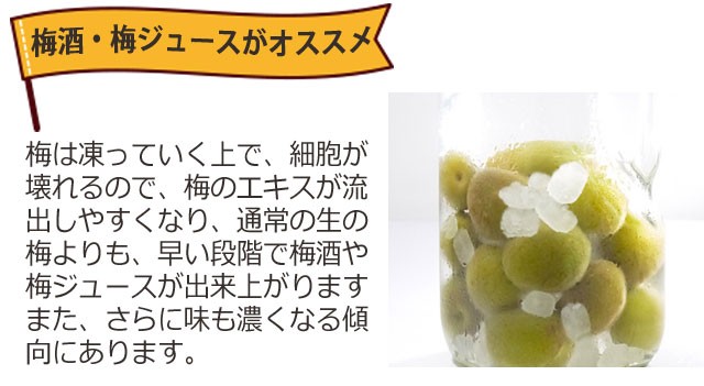 冷凍）青森県産冷凍色梅約2kg（家庭用2L〜4Lサイズ混合）【送料無料※一部地域を除く】※2022年物です  :rtume-iro2:ハイネットショップヤフー店 - 通販 - Yahoo!ショッピング