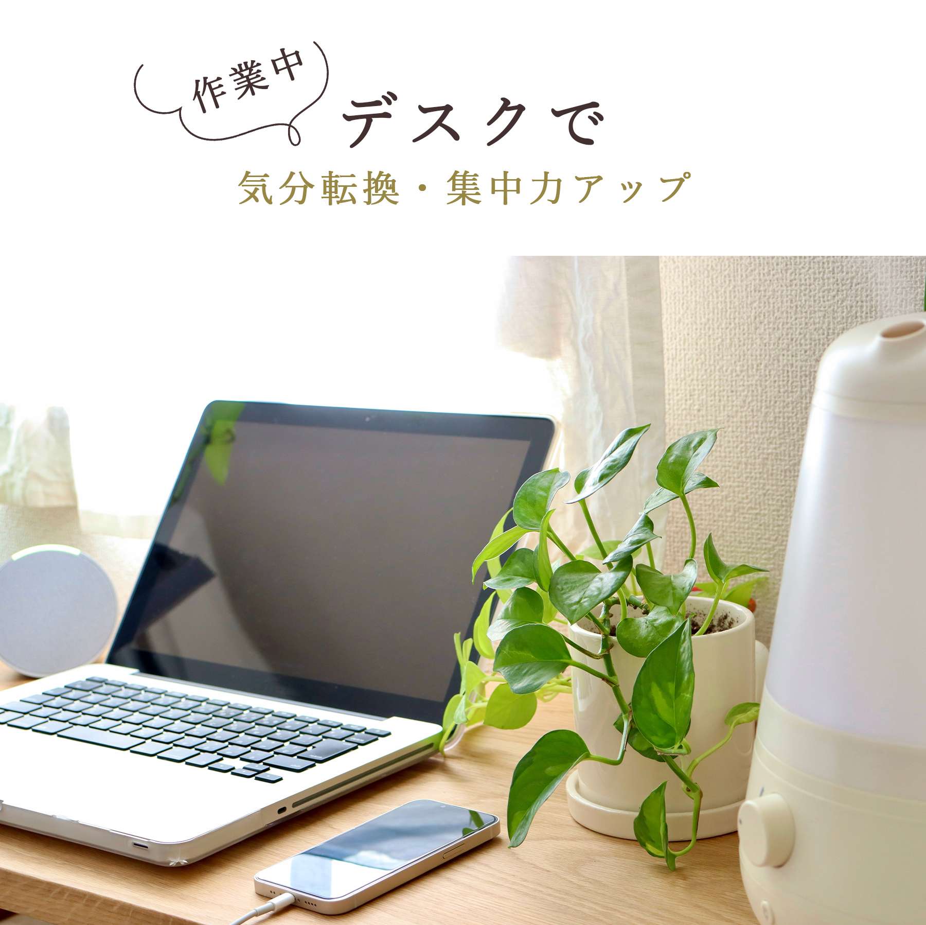 ポイント10倍／ アロマオイル エッセンシャルオイル 天然100