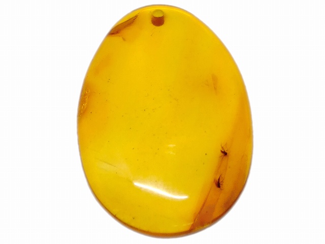 s-dscf0995.jpg