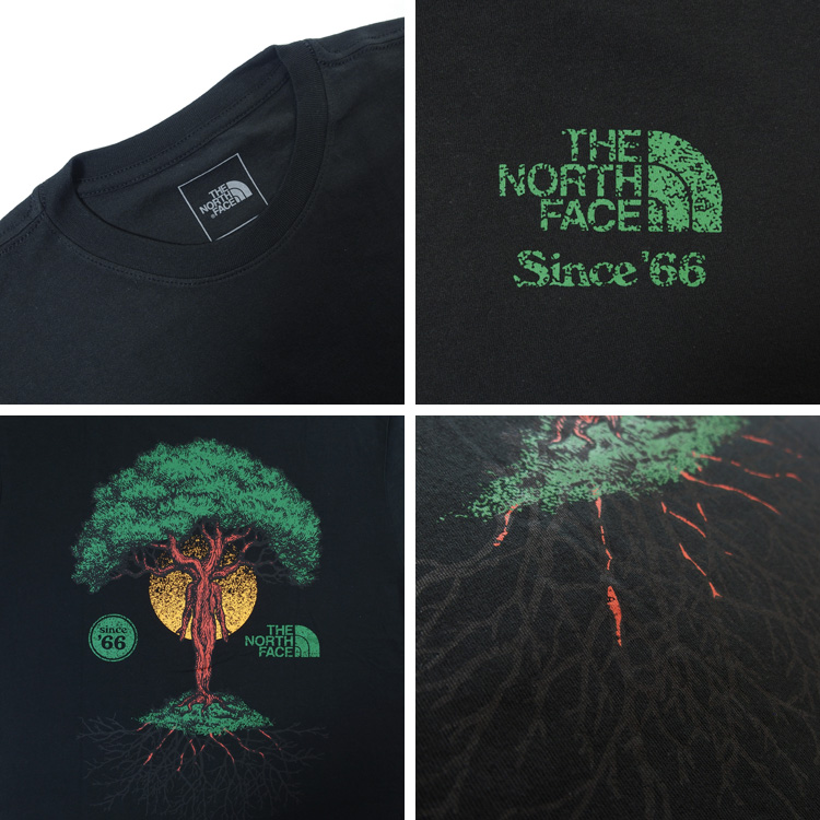 THE NORTH FACE 海外限定モデル ノースフェイス Tシャツ 半袖