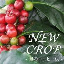 new crop