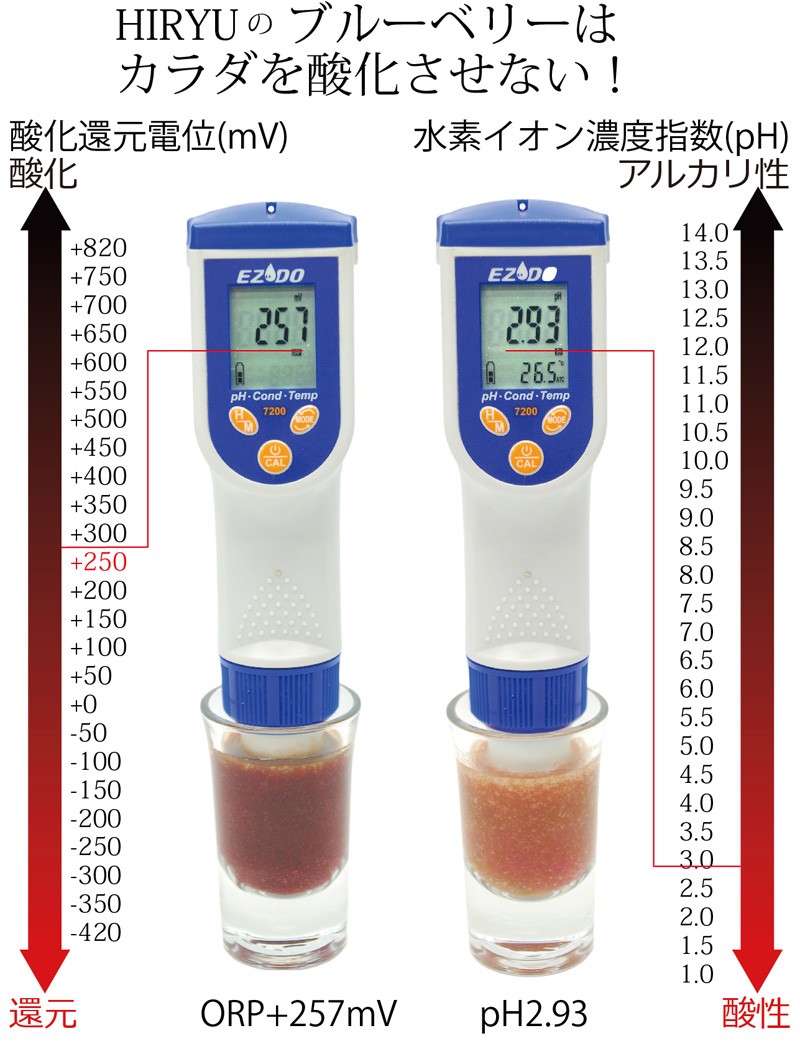 期間限定60％OFF! パイロット カーボン紙 PCP-P200-B 黒 10枚入り materialworldblog.com