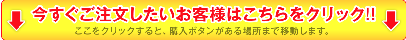 ここをクリックすると、購入ボタンへ一気にジャンプします