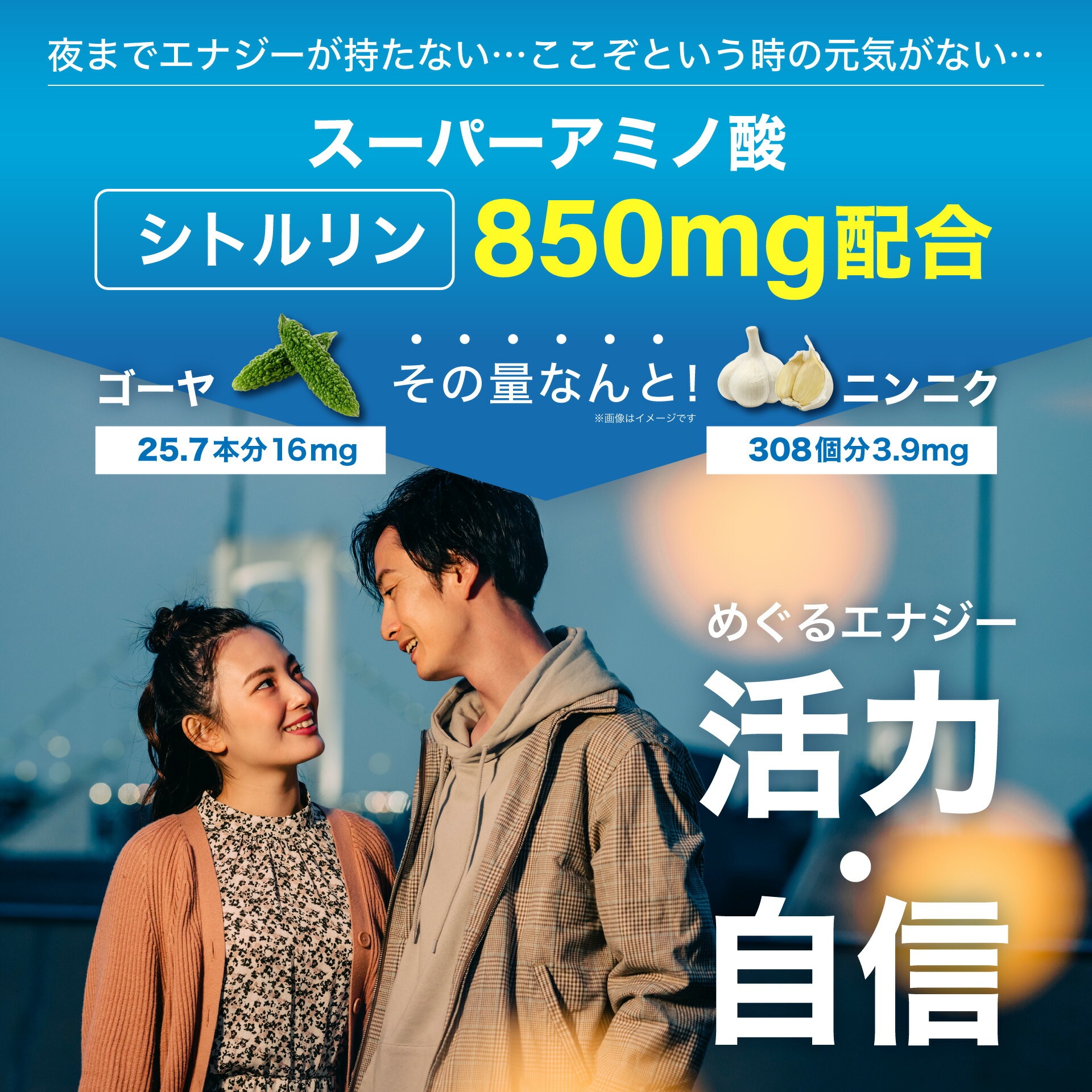 久光製薬 Hisamitsu 活力アミノ酸DX 30袋 約1か月分 シトルリン