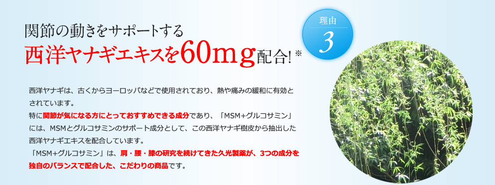 安心の日本製 久光製薬 公式 Msm グルコサミン Ex 300粒 3 約3か月分 サプリ サプリメント 送料無料 西洋ヤナギ Optimsm 久光 今だけ限定価格 225 Hennerova Cz