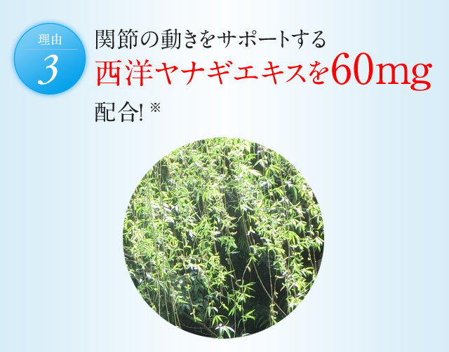 久光製薬 公式 Msm グルコサミン Ex 300粒 約1か月分 サプリ サプリメント 送料無料 西洋ヤナギ Optimsm 久光 Hisamitsu いきいき Online 通販 Yahoo ショッピング