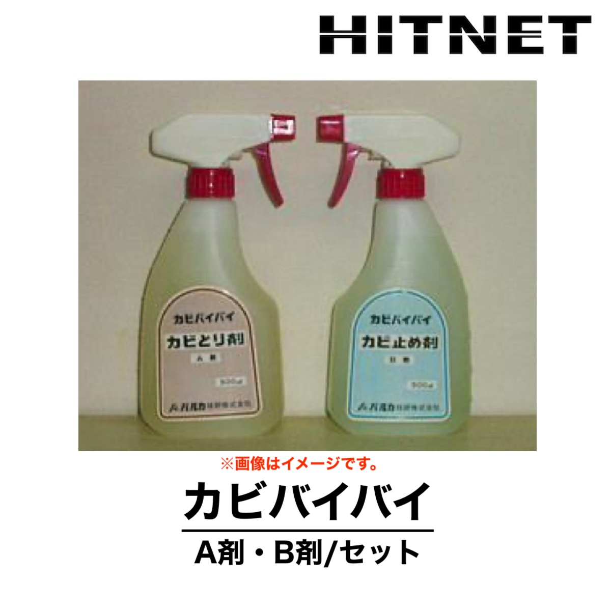 カビバイバイ A剤・B剤/セット 工事専用 カビ処理剤 カビとり剤 カビ