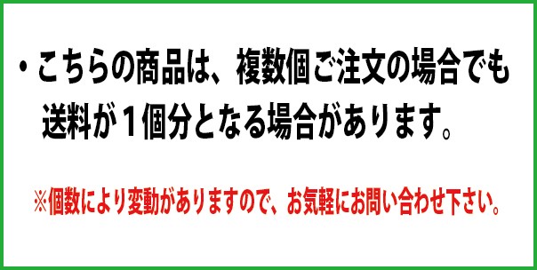 シバタ　剥離剤専用噴霧器　6L　H-6C