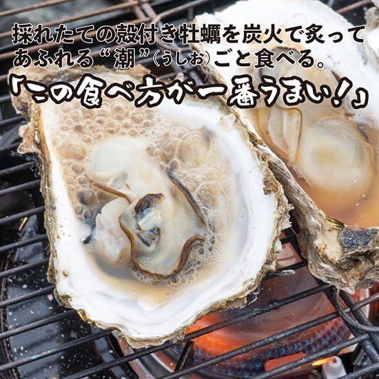 牡蠣の潮煮