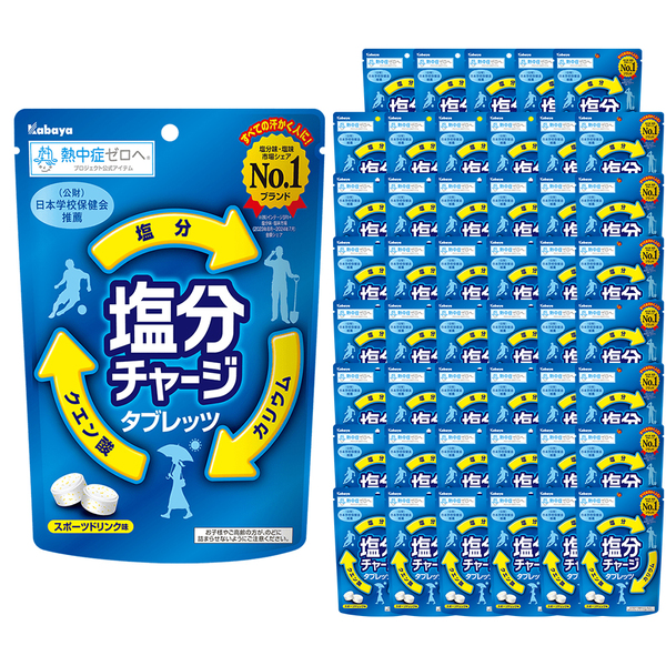 アミューズメントお菓子 塩分チャージタブレッツ計48袋セット 48個)飴 塩分補給 タブレット 塩分チャージ タブレッツ カバヤ食品