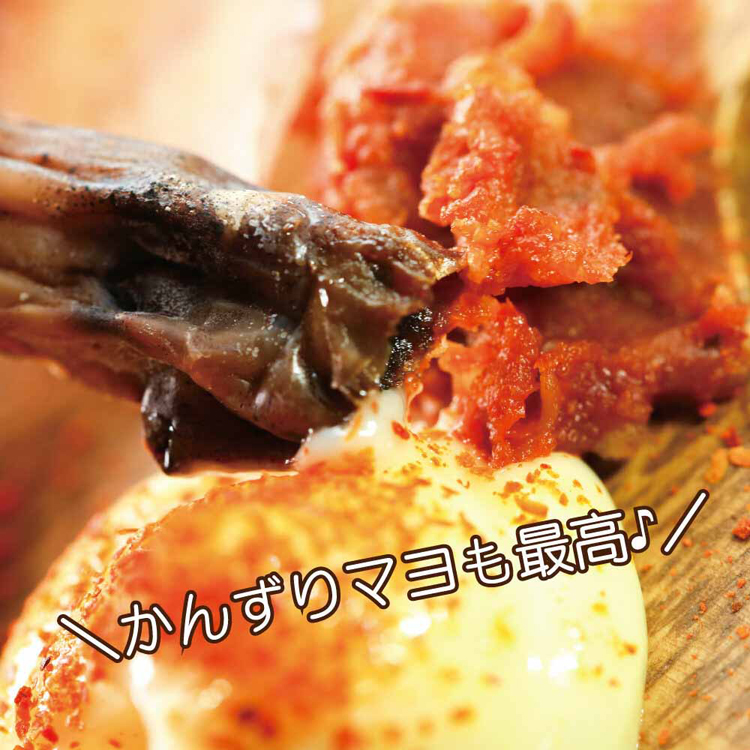 国産イカ珍味つまみ肴無添加丸干し炙りワタイカワタ丸干しいかおつまみ珍味85gTokka 