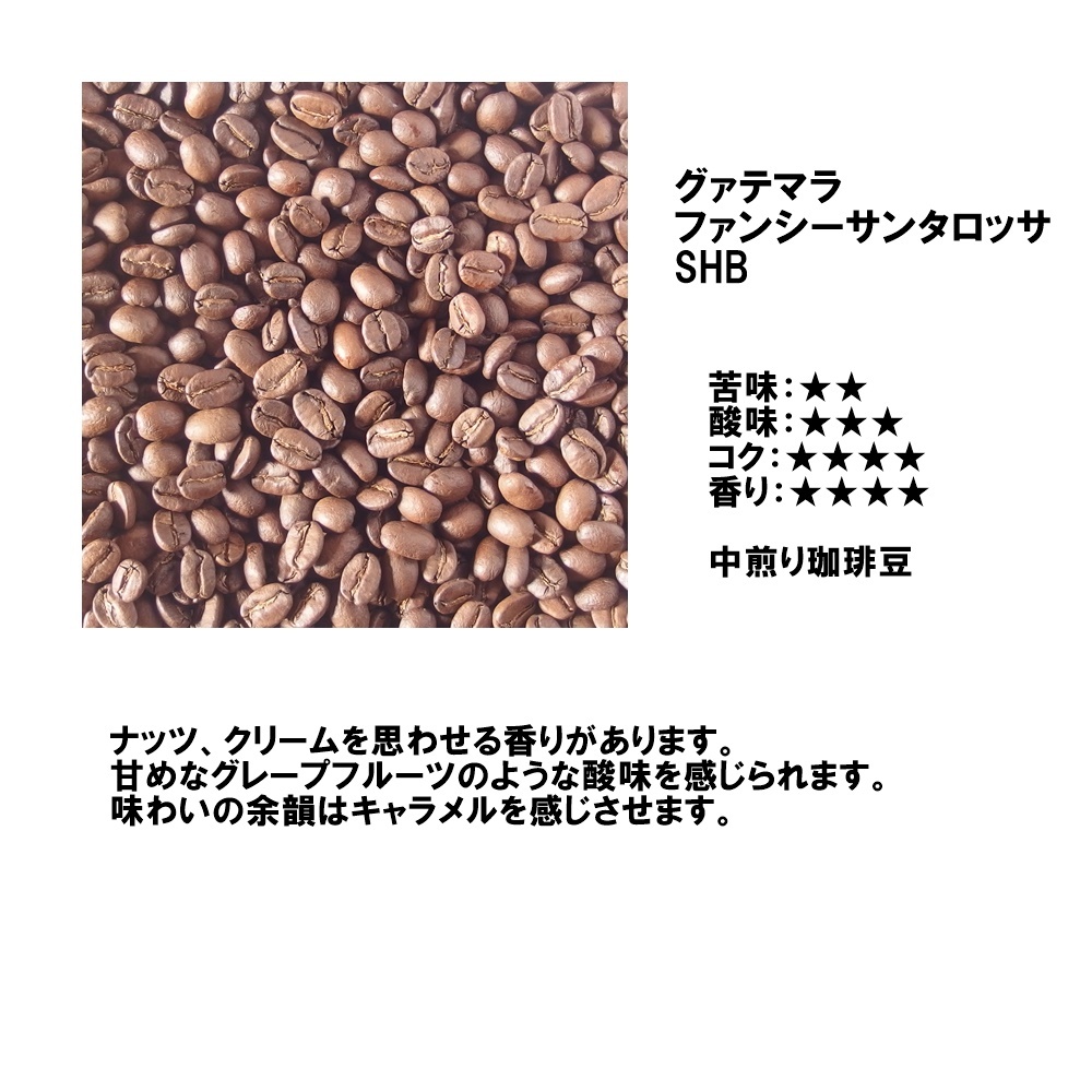 コーヒー豆 300g グアテマラ ファンシーサンタロッサSHB 中煎り 自家焙