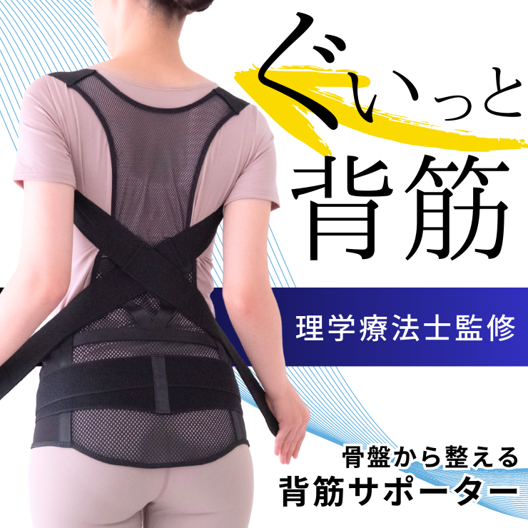 骨盤からととのえるメッシュの背筋サポーター 理学療法士監修 