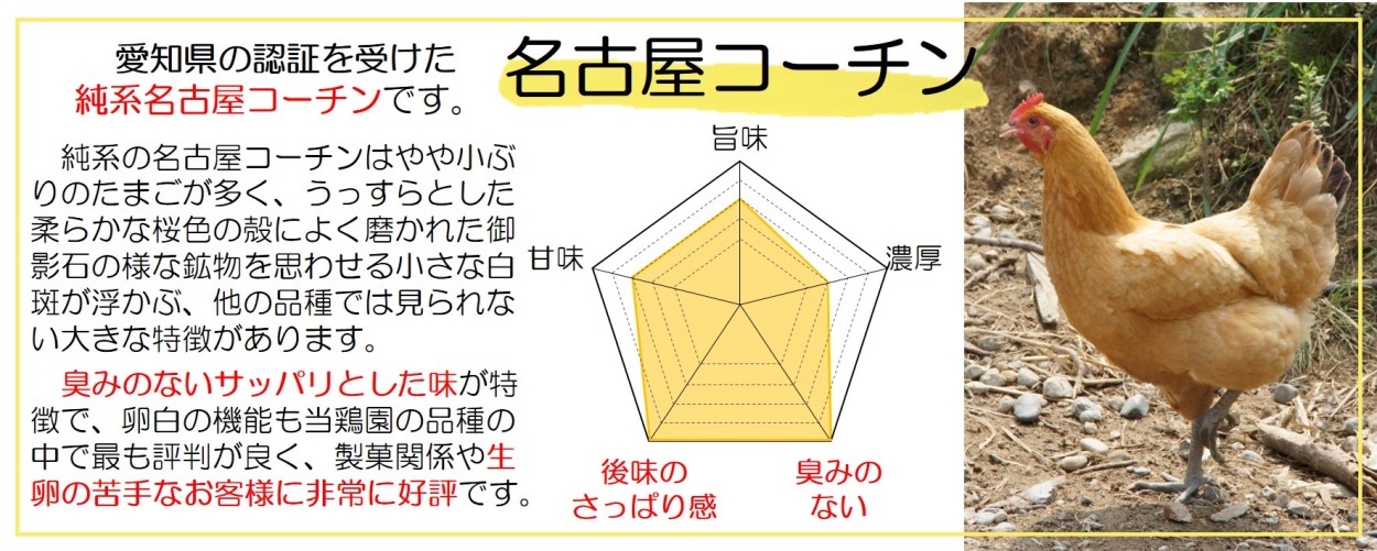 あずさと四種の地鶏詰め合わせ】あじわいたまごセット (にいがた地鶏・あずさ・軍鶏・岡崎おうはん・名古屋コーチン) 各２個・計10個 :51:五頭山麓  ひよころ鶏園 - 通販 - Yahoo!ショッピング