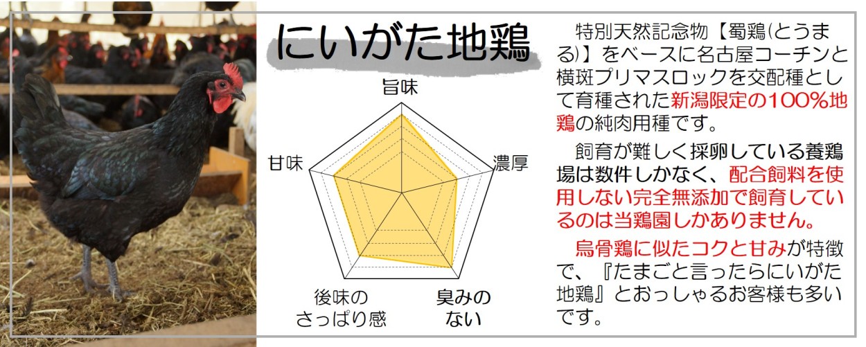 あずさと四種の地鶏詰め合わせ】あじわいたまごセット (にいがた地鶏・あずさ・軍鶏・岡崎おうはん・名古屋コーチン) 各２個・計10個 :51:五頭山麓  ひよころ鶏園 - 通販 - Yahoo!ショッピング