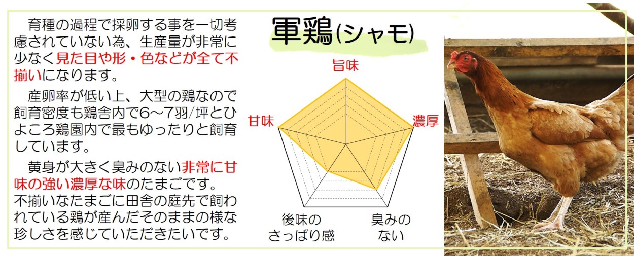 平飼い有精卵(軍鶏・にいがた地鶏・名古屋コーチン・岡崎おうはん・国産赤鶏あずさ)のたまご　5種各6個入・計30個セット