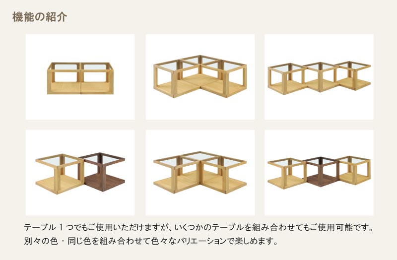 センターテーブル ガラス天板 幅50cm DUG ダグ コンパクト リビング