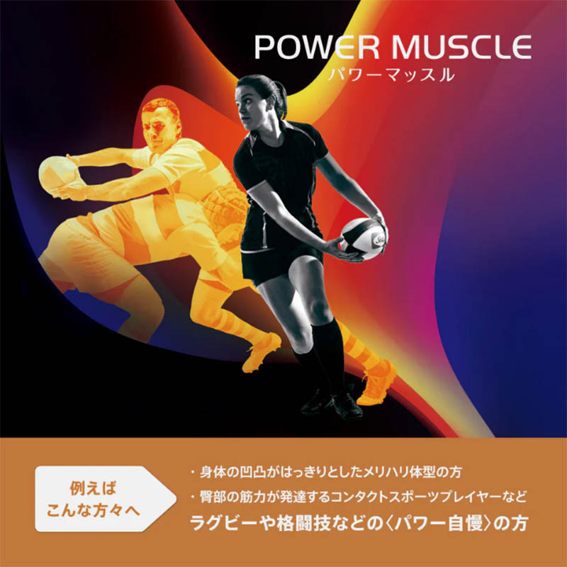 Sealy（シーリー） マットレス パワーマッスル power muscle ダブル