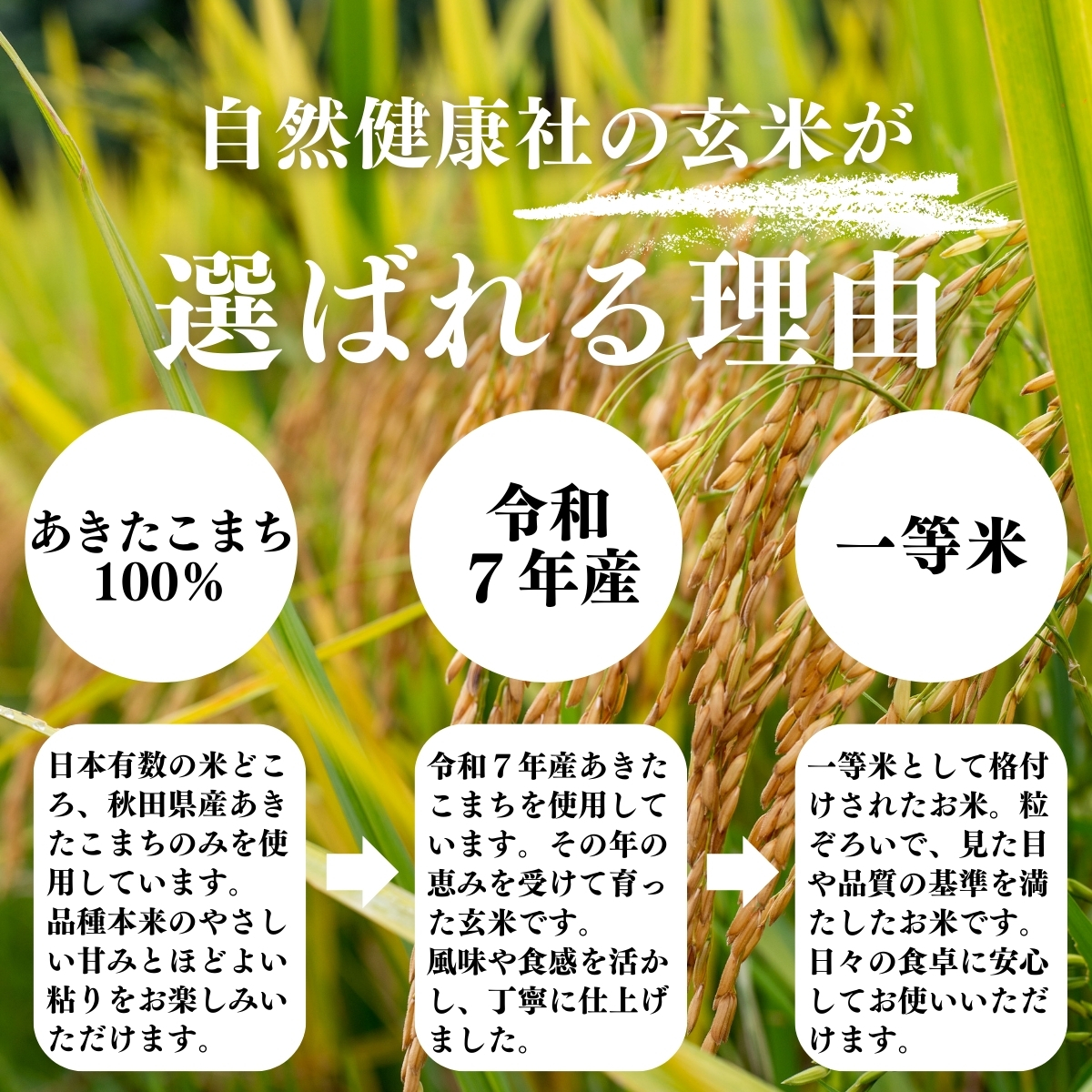 ❤︎あい❤︎＊マイプロフ必読＊　令和7年度あきたこまち（秋田県産）︎ 自然健康社 玄米 あきたこまち 1kg×3個 令和7年 2025年産 一等米 秋田