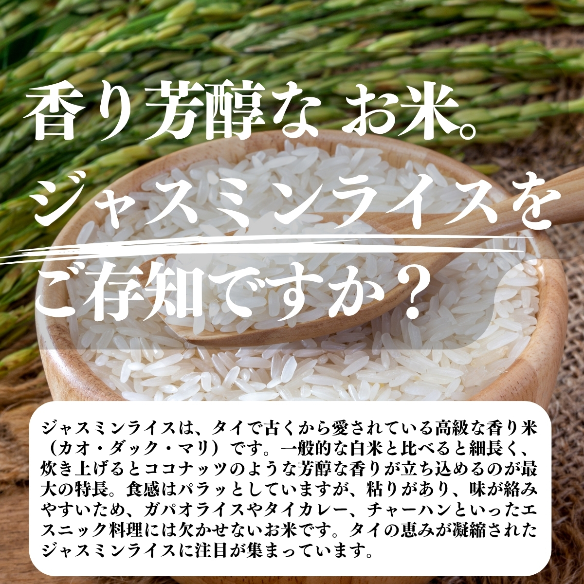 ジャスミンライスの使い方