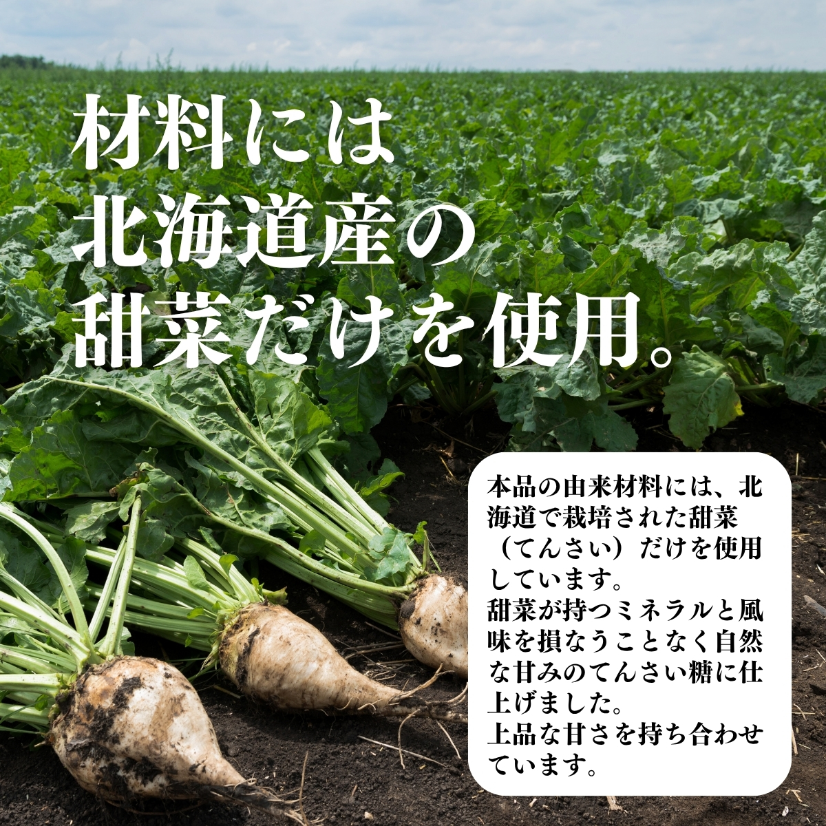 材料には北海道産の甜菜だけを使用