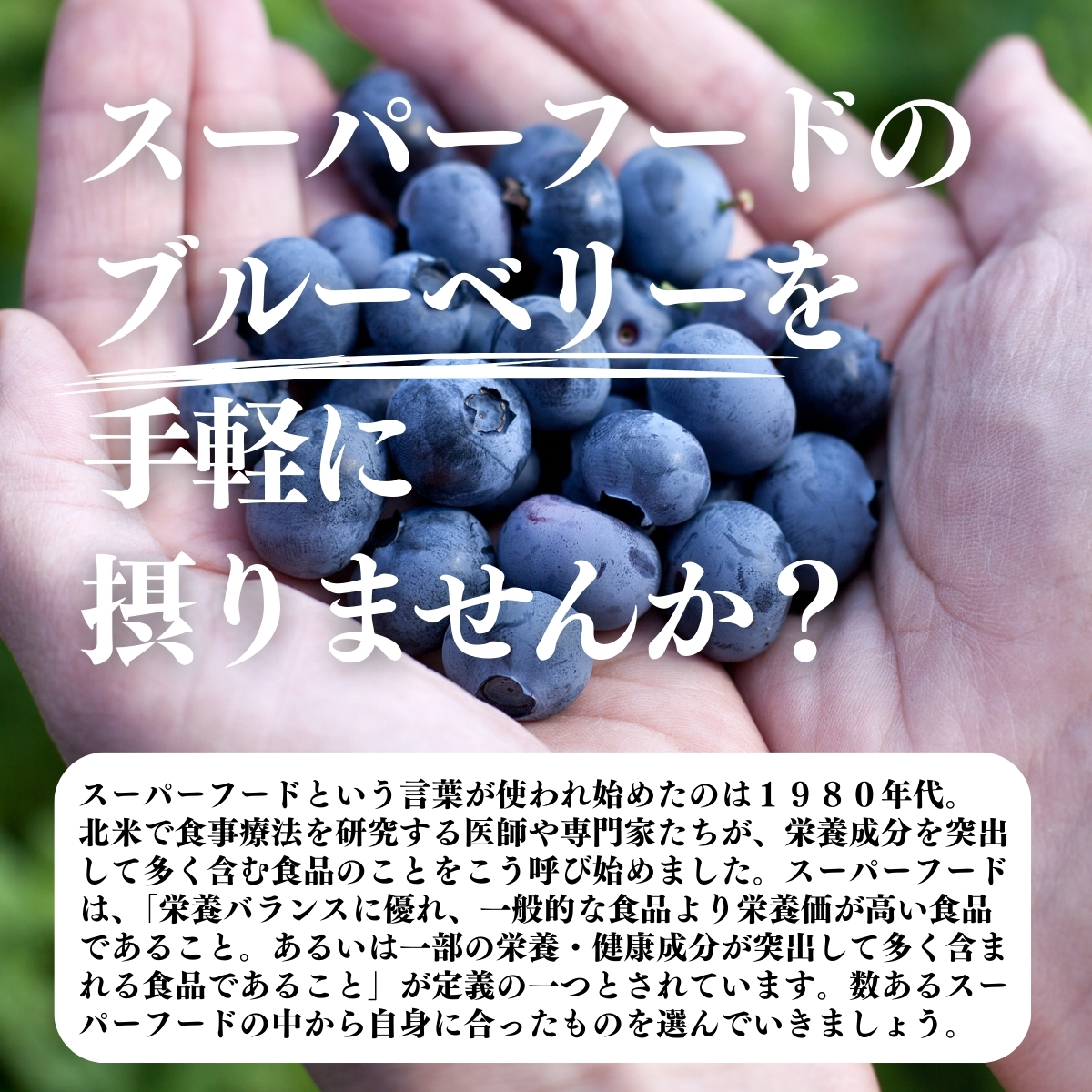 スーパーフードのブルーベリーを手軽に摂りませんか？