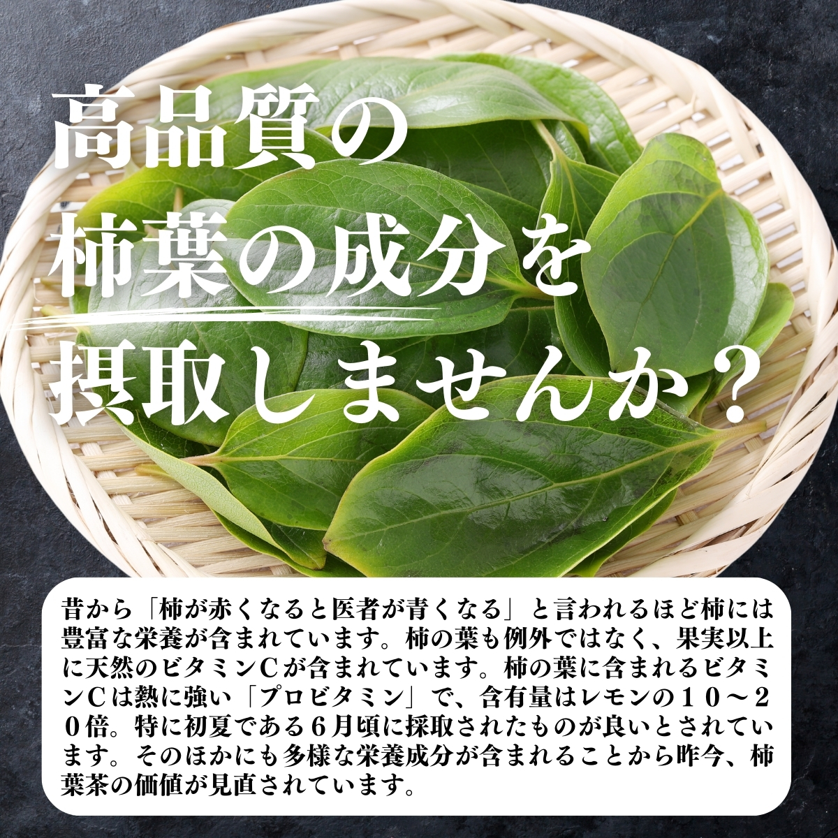 自然健康社 柿の葉茶 30パック×2個 無農薬 国産 柿葉茶 かきの葉茶