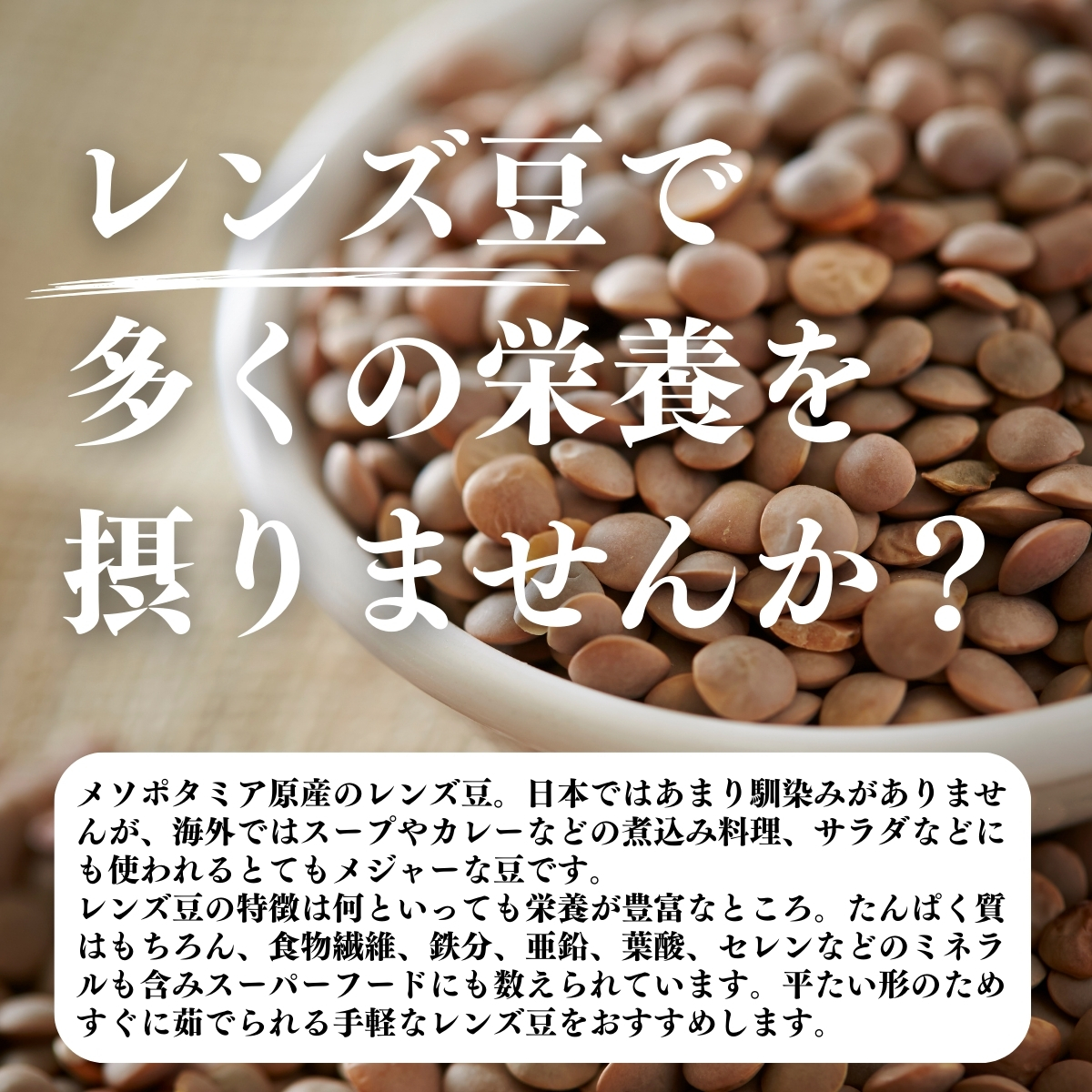 レンズ豆で多くの栄養を摂りませんか？