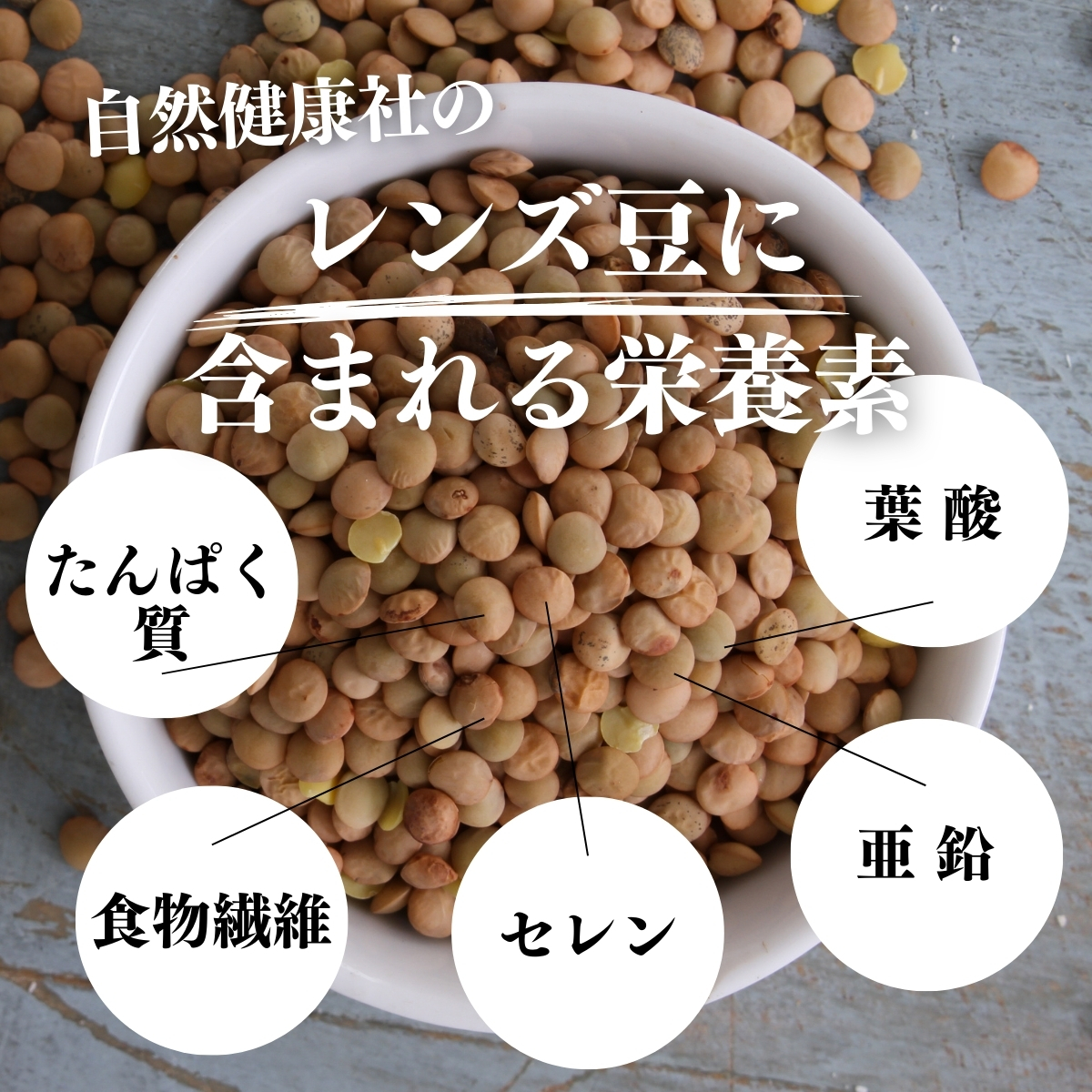 レンズ豆に含まれる栄養素